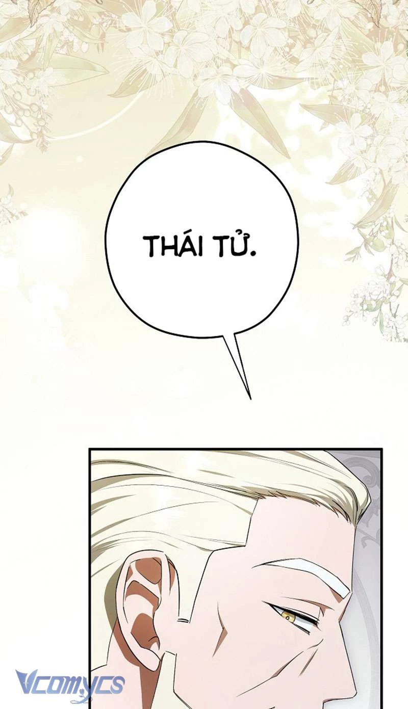 Các Nam Chính Đã Bị Nữ Phụ Cướp Mất Chapter 45 - Trang 2