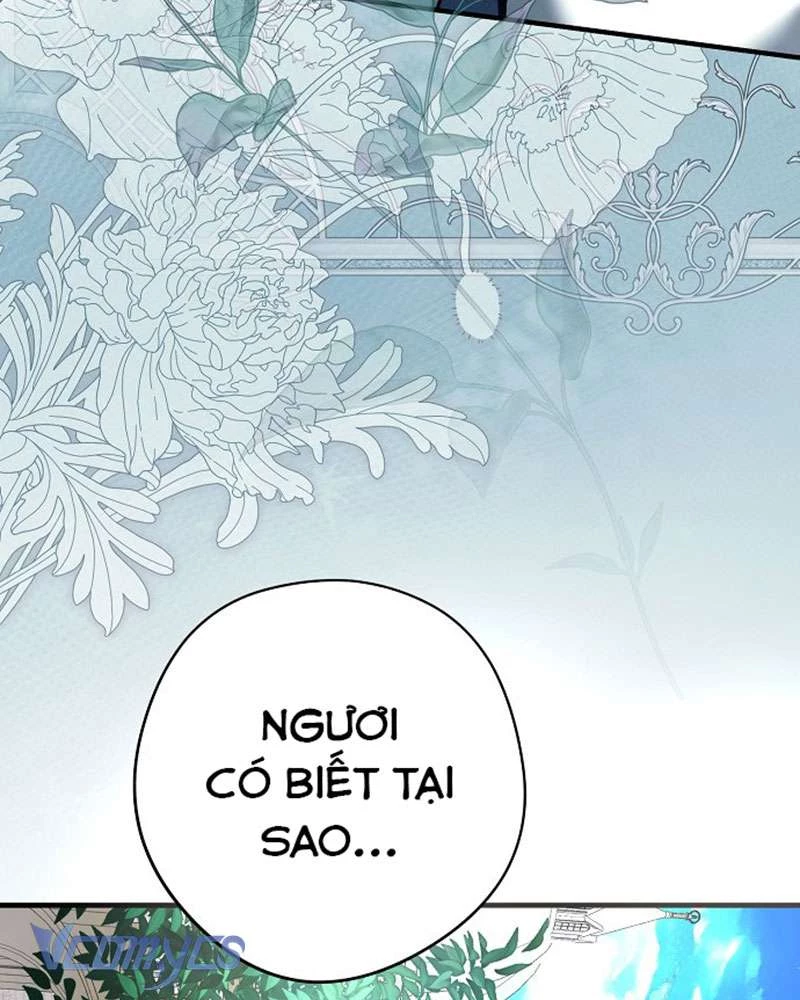 Các Nam Chính Đã Bị Nữ Phụ Cướp Mất Chapter 45 - Trang 2