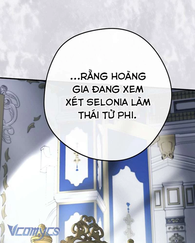 Các Nam Chính Đã Bị Nữ Phụ Cướp Mất Chapter 45 - Trang 2