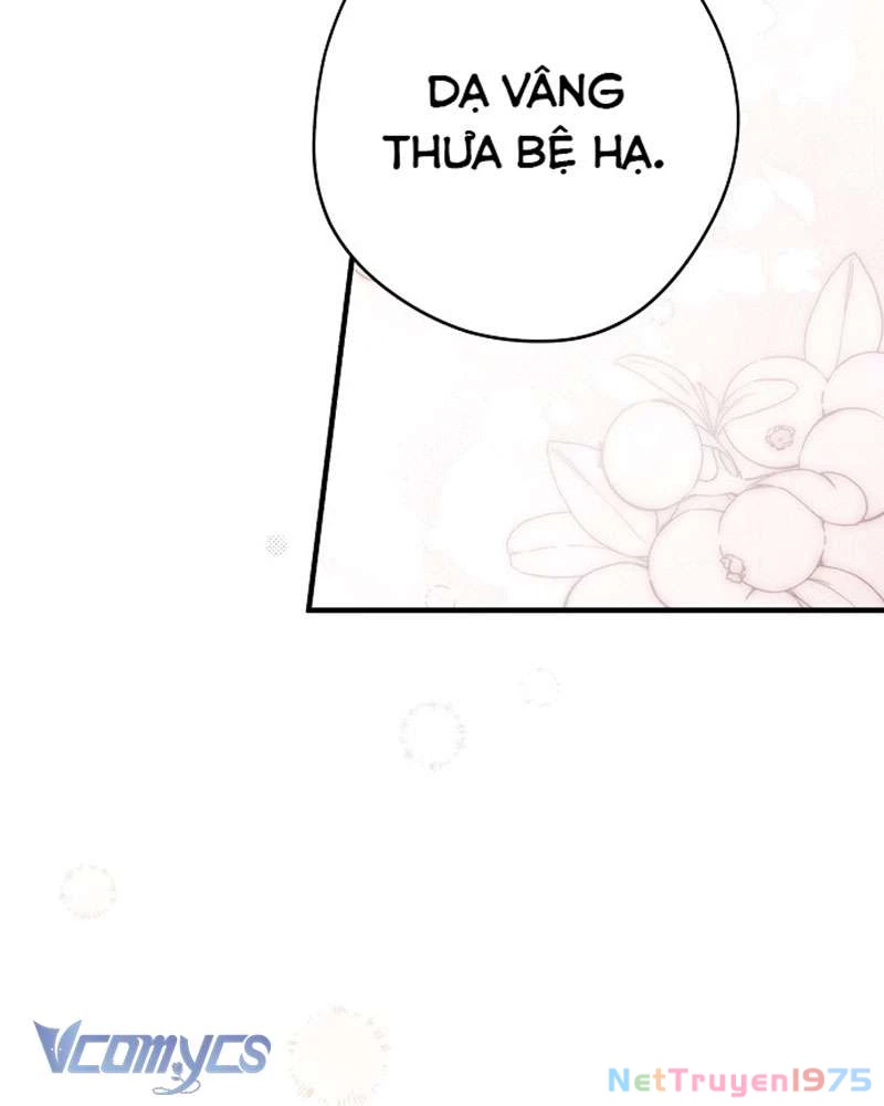 Các Nam Chính Đã Bị Nữ Phụ Cướp Mất Chapter 45 - Trang 2