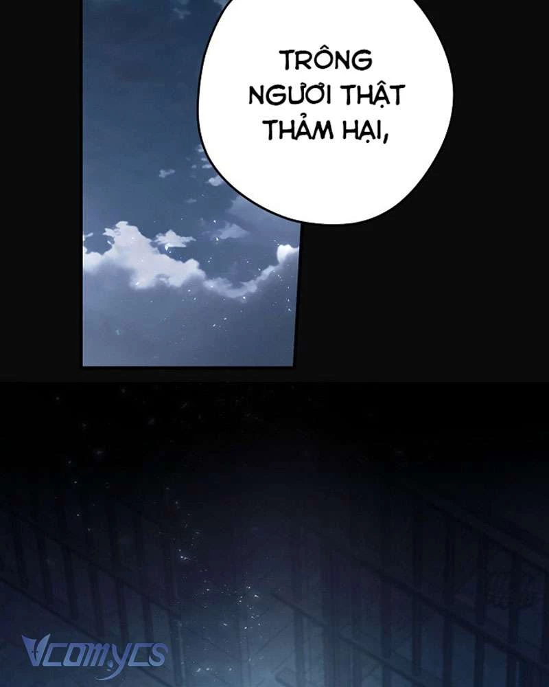 Các Nam Chính Đã Bị Nữ Phụ Cướp Mất Chapter 45 - Trang 2