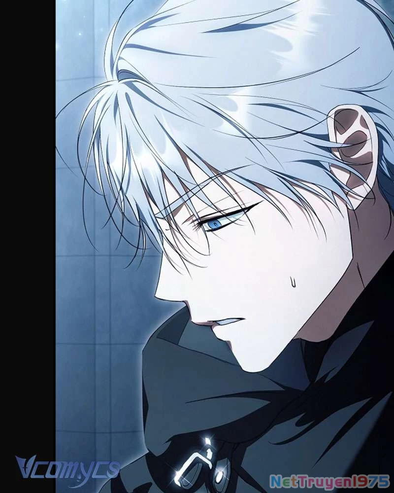 Các Nam Chính Đã Bị Nữ Phụ Cướp Mất Chapter 45 - Trang 2