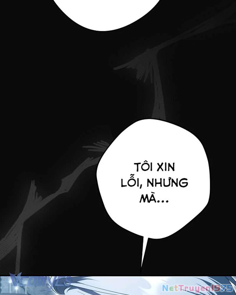 Các Nam Chính Đã Bị Nữ Phụ Cướp Mất Chapter 45 - Trang 2