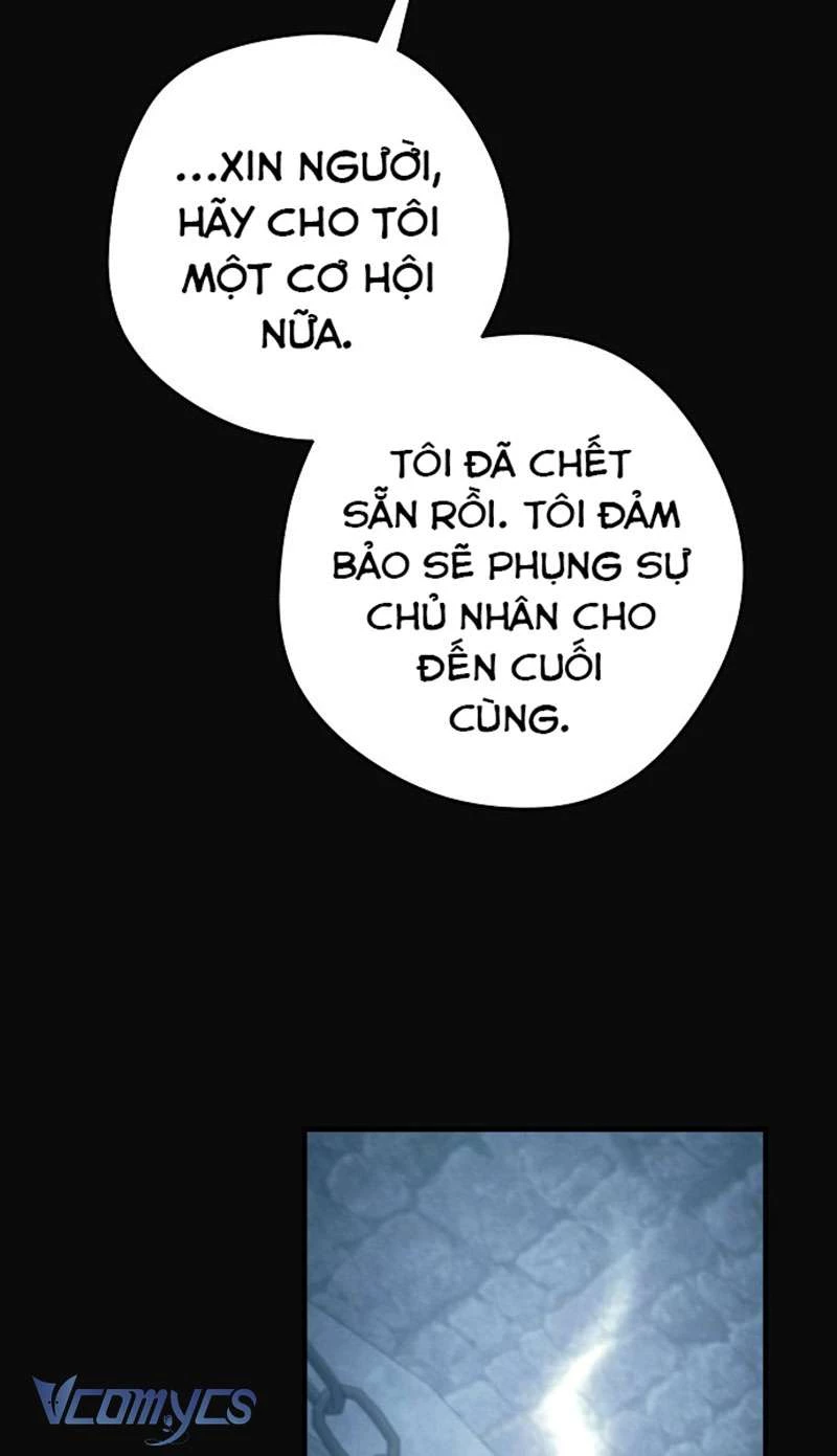 Các Nam Chính Đã Bị Nữ Phụ Cướp Mất Chapter 45 - Trang 2