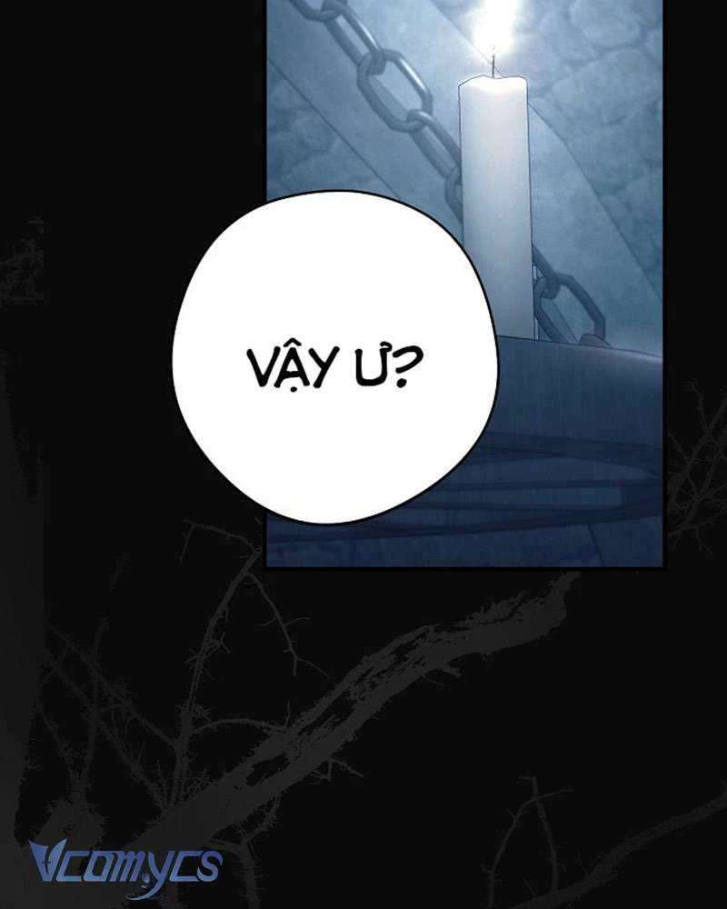 Các Nam Chính Đã Bị Nữ Phụ Cướp Mất Chapter 45 - Trang 2