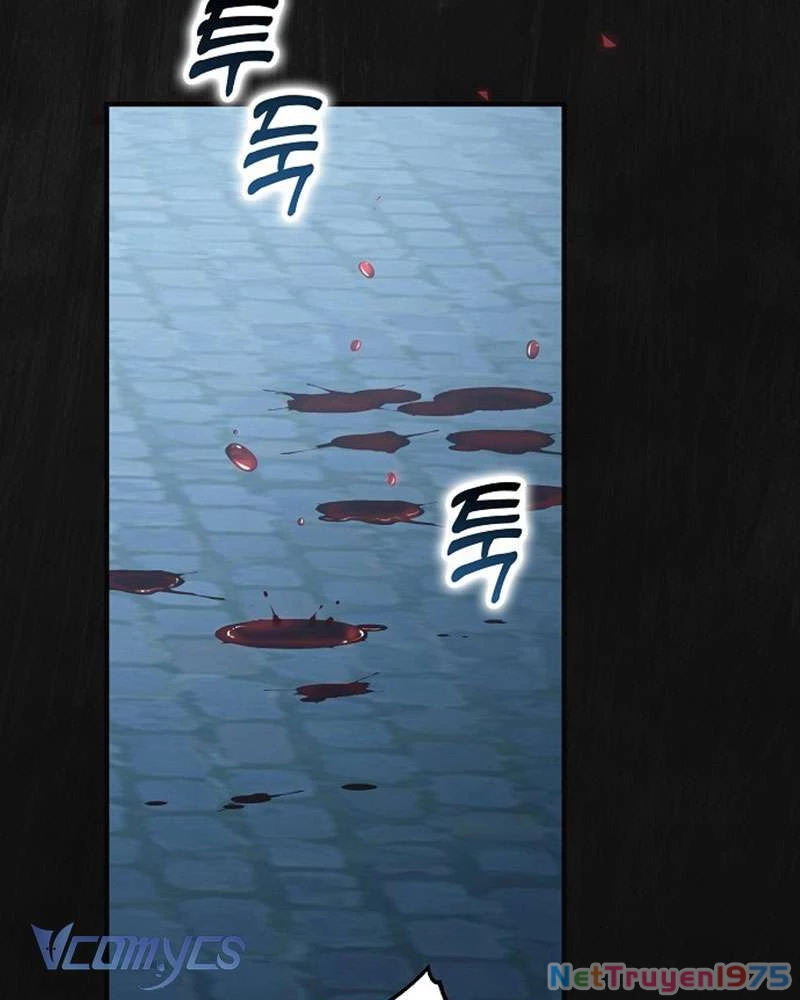 Các Nam Chính Đã Bị Nữ Phụ Cướp Mất Chapter 45 - Trang 2