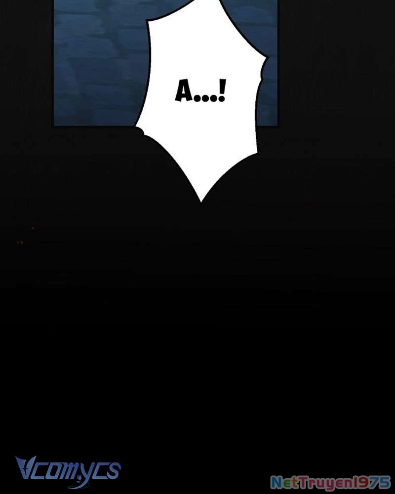 Các Nam Chính Đã Bị Nữ Phụ Cướp Mất Chapter 45 - Trang 2