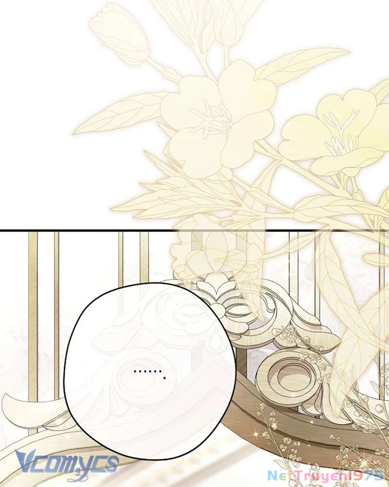 Các Nam Chính Đã Bị Nữ Phụ Cướp Mất Chapter 45 - Trang 2