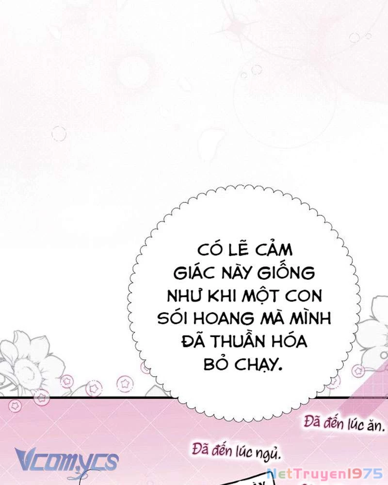 Các Nam Chính Đã Bị Nữ Phụ Cướp Mất Chapter 45 - Trang 2