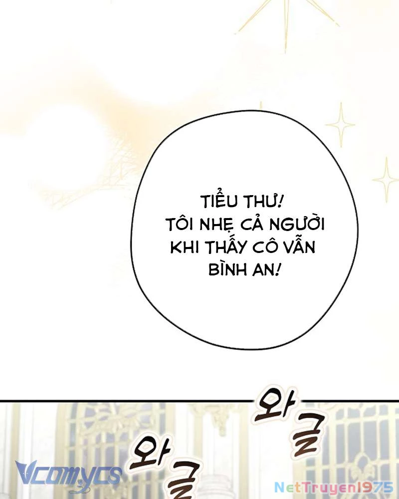 Các Nam Chính Đã Bị Nữ Phụ Cướp Mất Chapter 46 - Trang 2