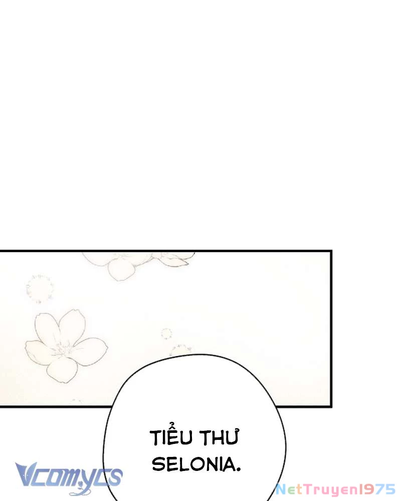 Các Nam Chính Đã Bị Nữ Phụ Cướp Mất Chapter 46 - Trang 2