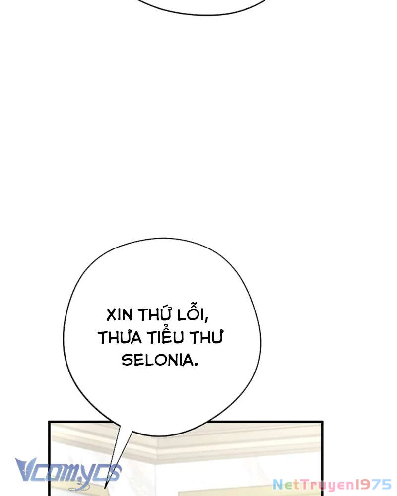 Các Nam Chính Đã Bị Nữ Phụ Cướp Mất Chapter 46 - Trang 2