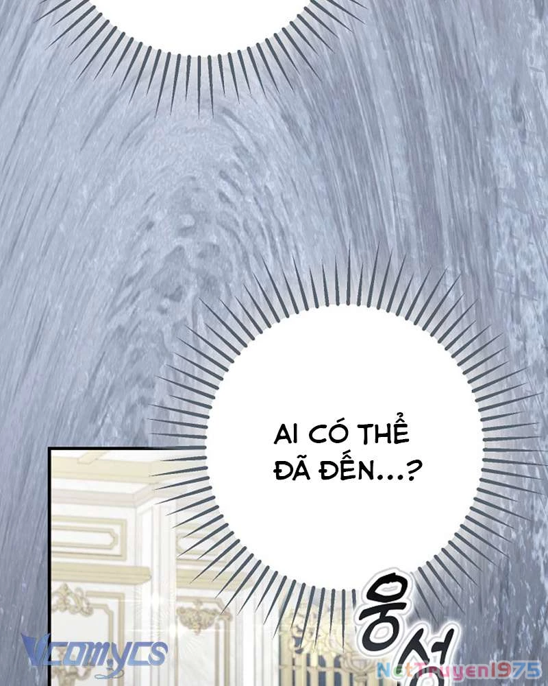 Các Nam Chính Đã Bị Nữ Phụ Cướp Mất Chapter 46 - Trang 2