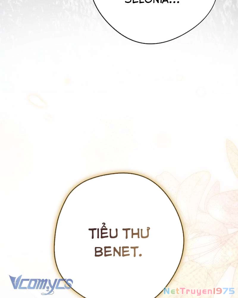 Các Nam Chính Đã Bị Nữ Phụ Cướp Mất Chapter 46 - Trang 2