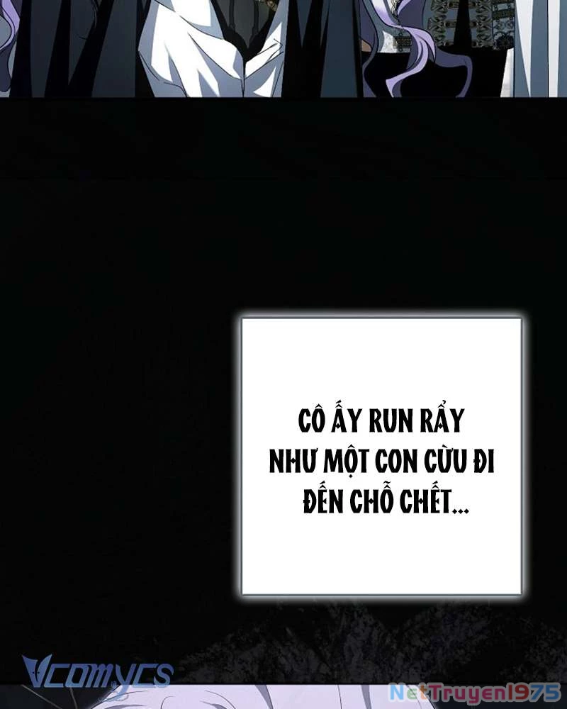 Các Nam Chính Đã Bị Nữ Phụ Cướp Mất Chapter 46 - Trang 2