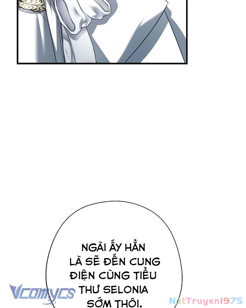 Các Nam Chính Đã Bị Nữ Phụ Cướp Mất Chapter 46 - Trang 2