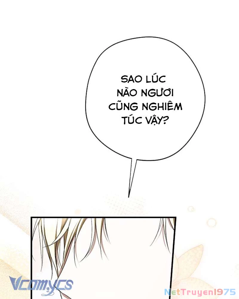 Các Nam Chính Đã Bị Nữ Phụ Cướp Mất Chapter 46 - Trang 2