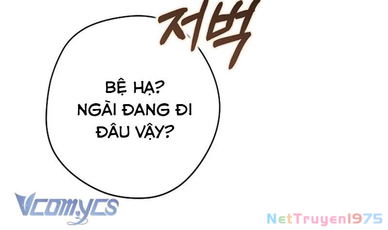 Các Nam Chính Đã Bị Nữ Phụ Cướp Mất Chapter 46 - Trang 2