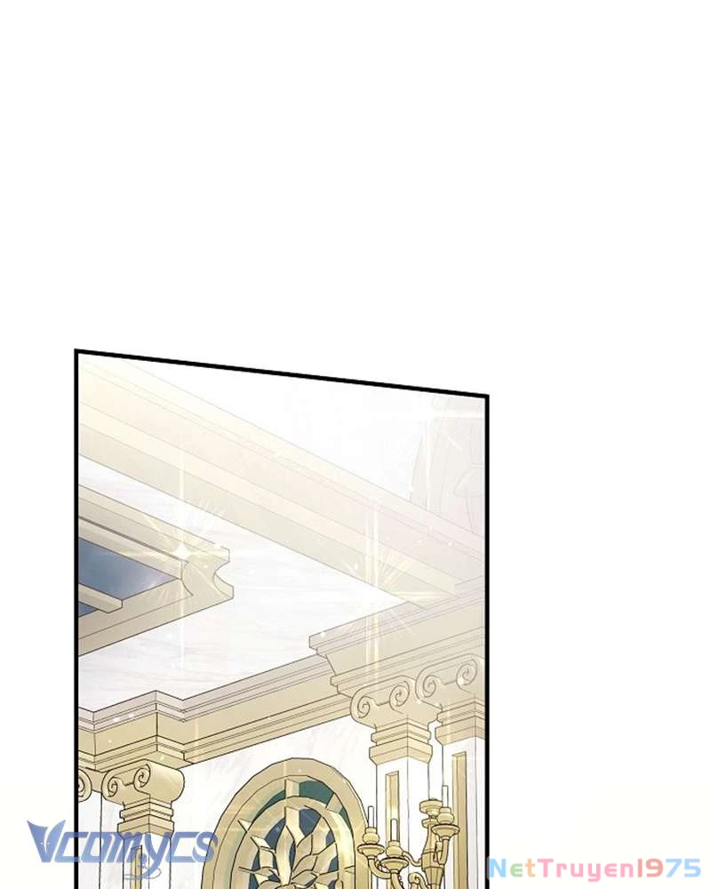 Các Nam Chính Đã Bị Nữ Phụ Cướp Mất Chapter 46 - Trang 2