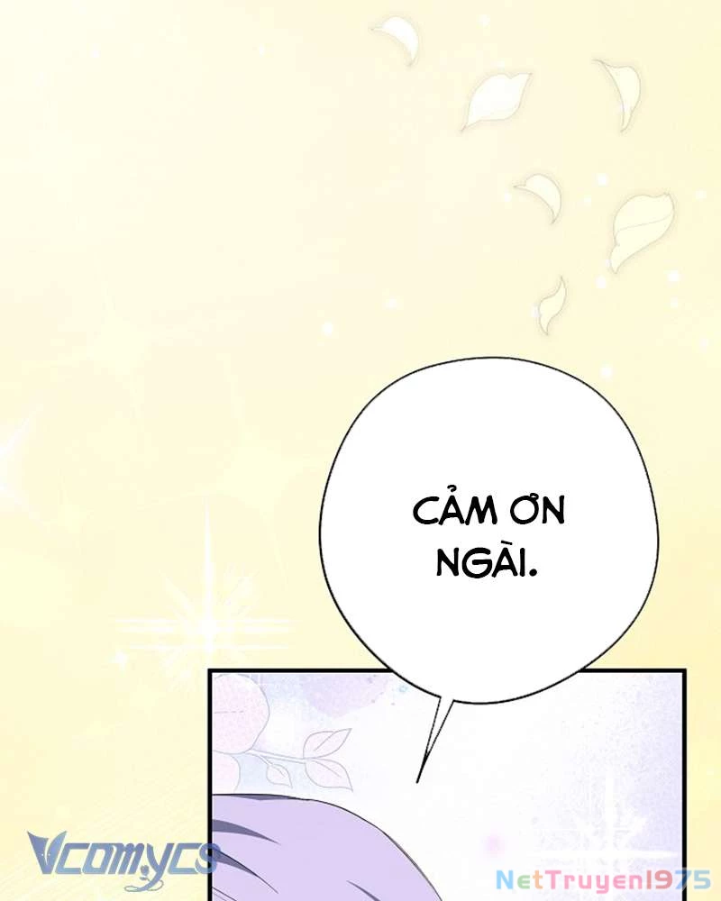 Các Nam Chính Đã Bị Nữ Phụ Cướp Mất Chapter 46 - Trang 2