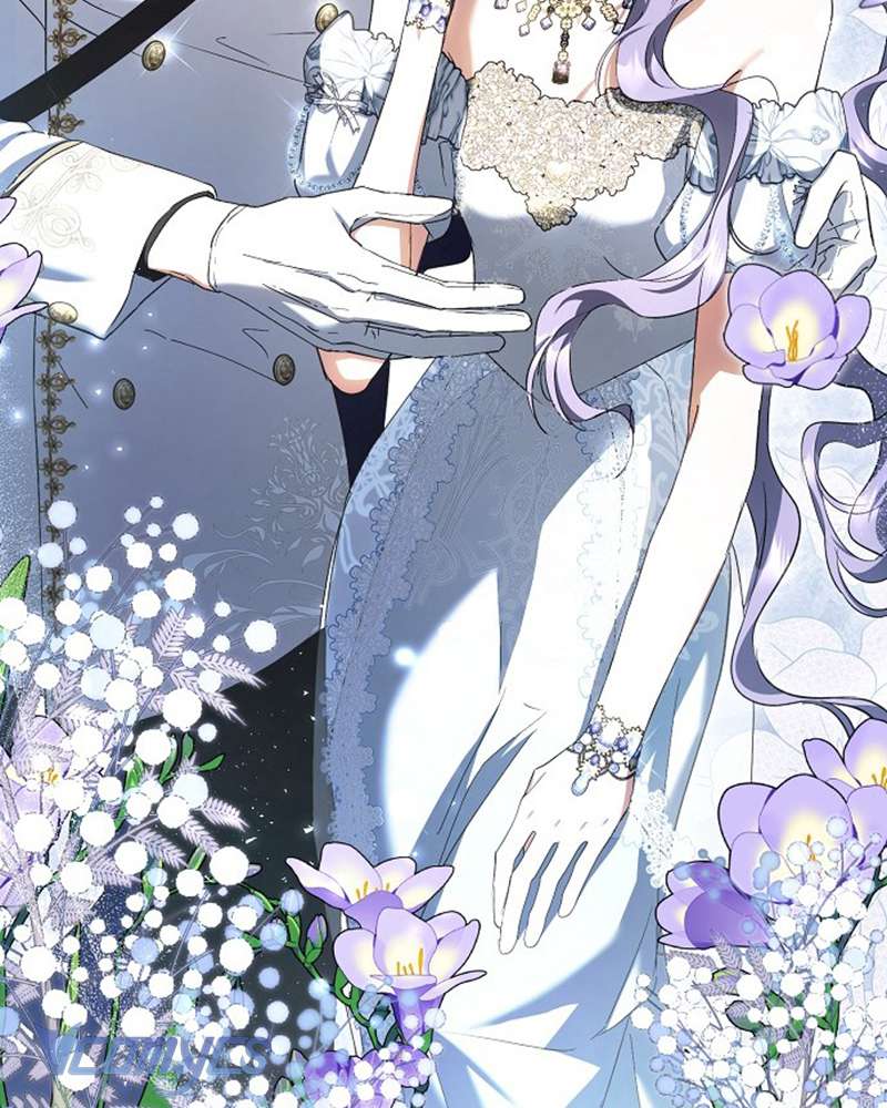 Các Nam Chính Đã Bị Nữ Phụ Cướp Mất Chapter 47 - Trang 2