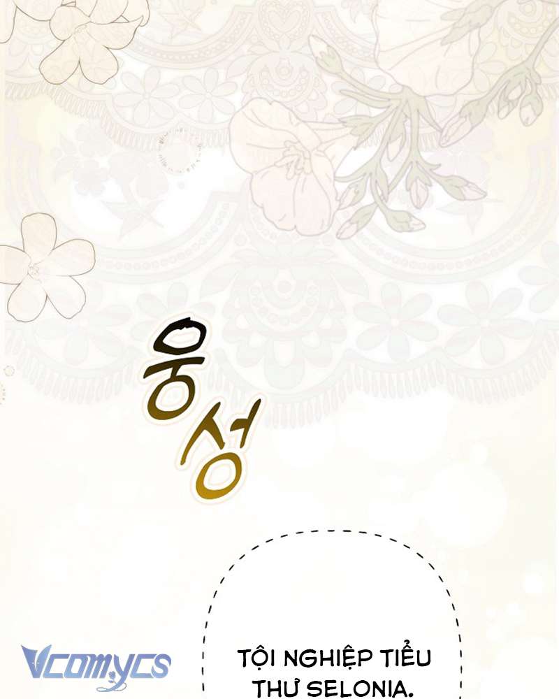 Các Nam Chính Đã Bị Nữ Phụ Cướp Mất Chapter 47 - Trang 2