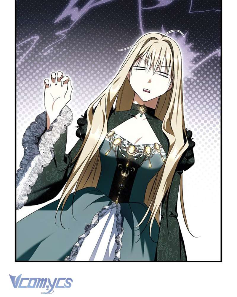 Các Nam Chính Đã Bị Nữ Phụ Cướp Mất Chapter 47 - Trang 2