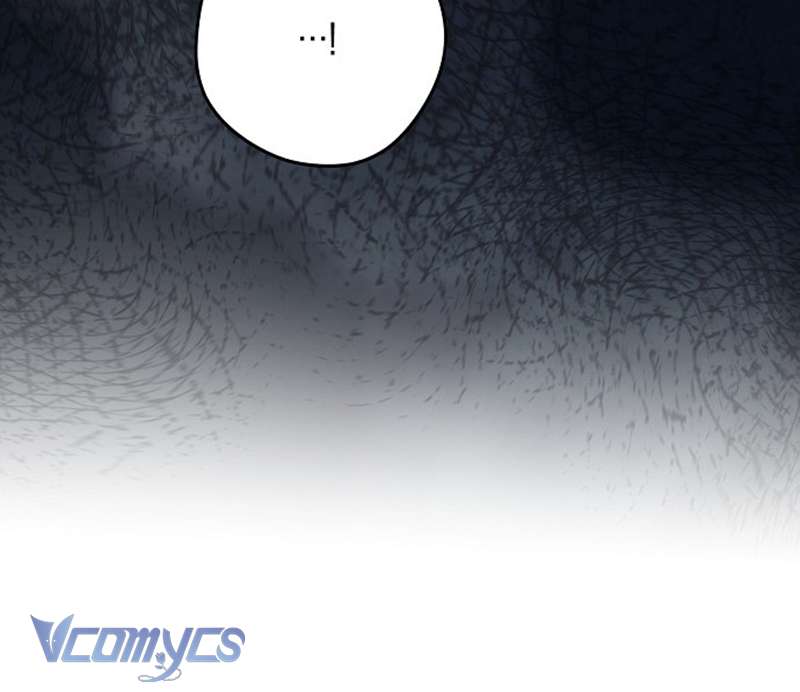 Các Nam Chính Đã Bị Nữ Phụ Cướp Mất Chapter 47 - Trang 2