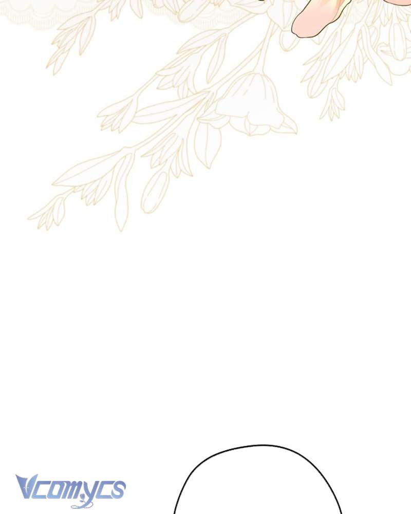 Các Nam Chính Đã Bị Nữ Phụ Cướp Mất Chapter 47 - Trang 2