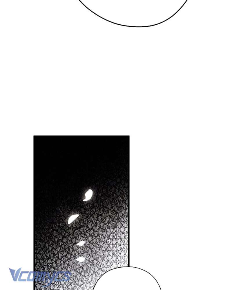 Các Nam Chính Đã Bị Nữ Phụ Cướp Mất Chapter 47 - Trang 2