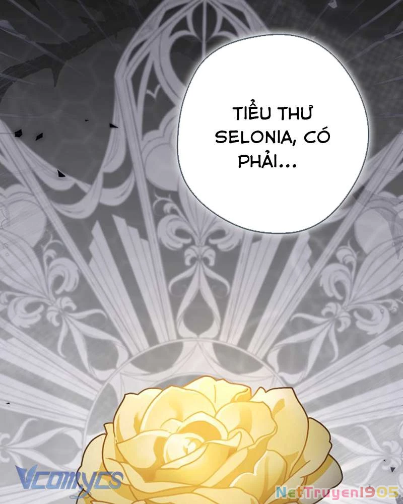 Các Nam Chính Đã Bị Nữ Phụ Cướp Mất Chapter 50 - Trang 2