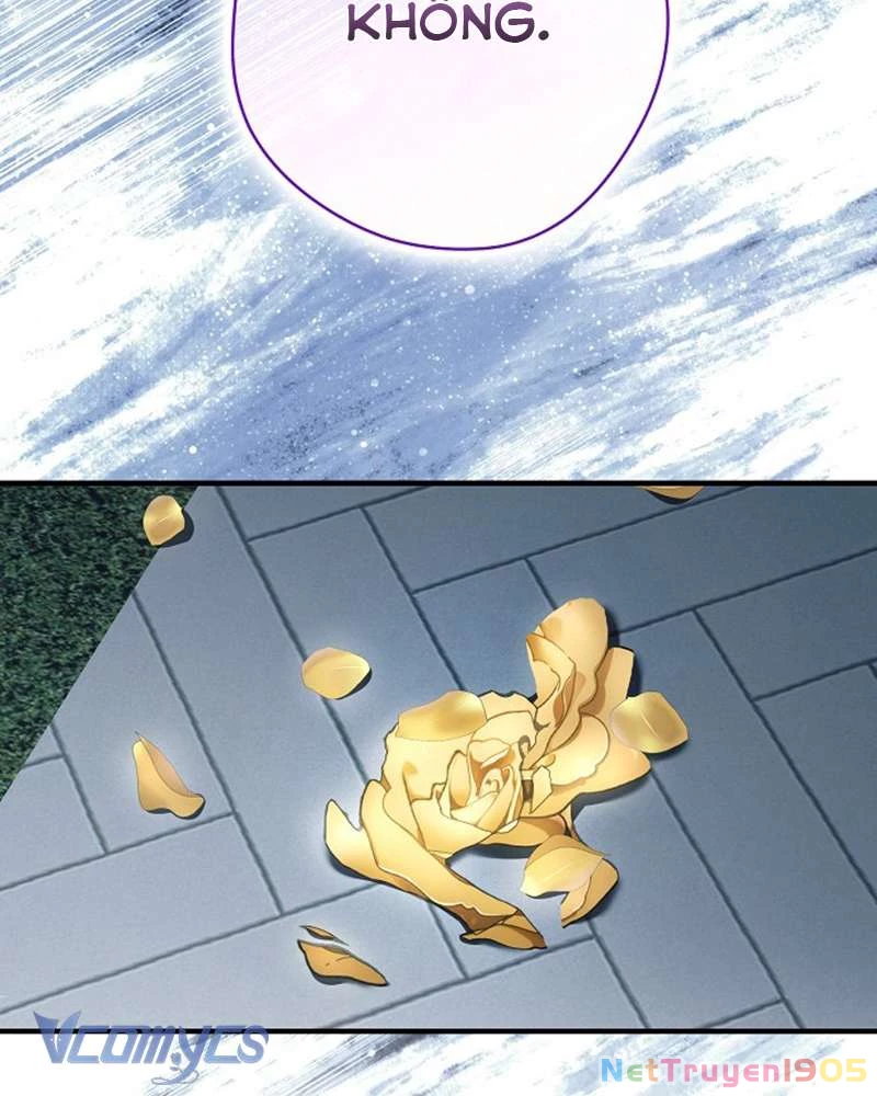 Các Nam Chính Đã Bị Nữ Phụ Cướp Mất Chapter 50 - Trang 2