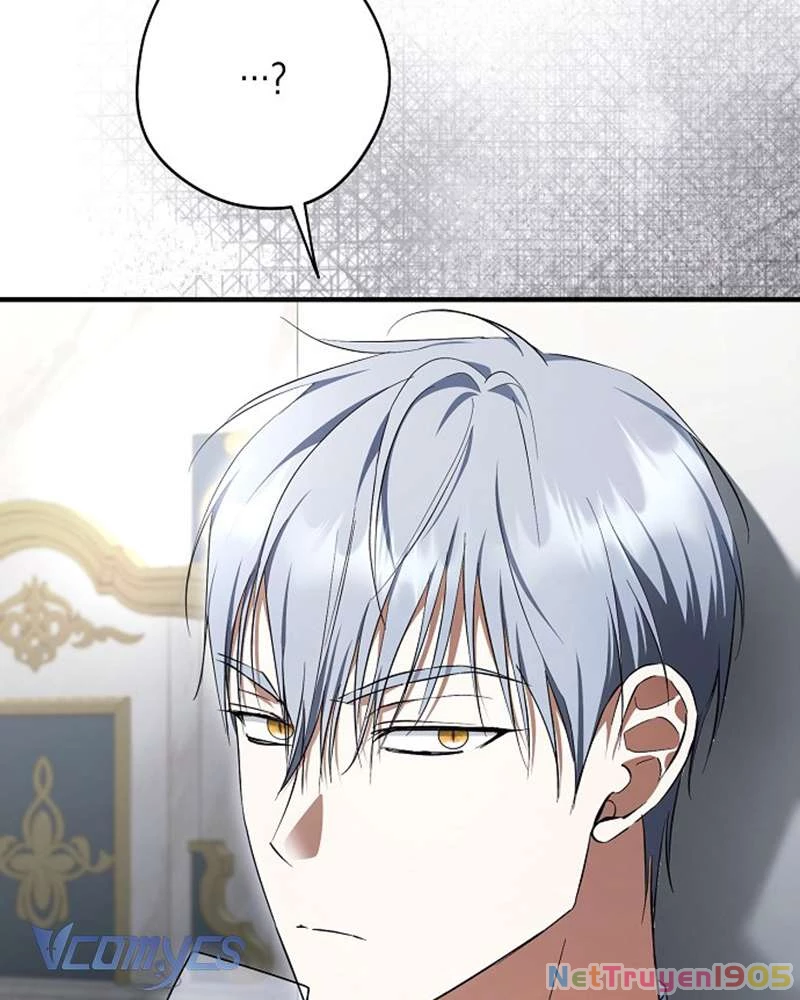 Các Nam Chính Đã Bị Nữ Phụ Cướp Mất Chapter 50 - Trang 2