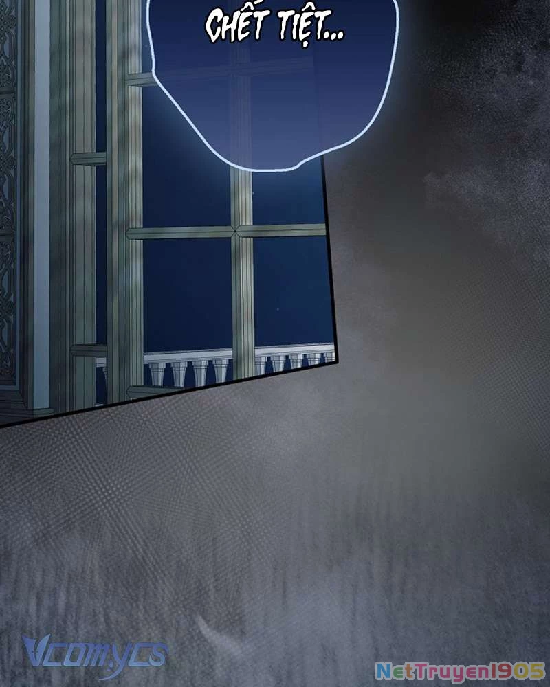 Các Nam Chính Đã Bị Nữ Phụ Cướp Mất Chapter 50 - Trang 2