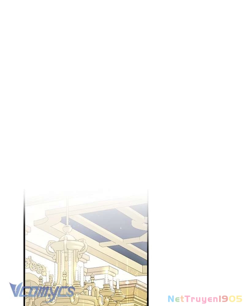 Các Nam Chính Đã Bị Nữ Phụ Cướp Mất Chapter 50 - Trang 2