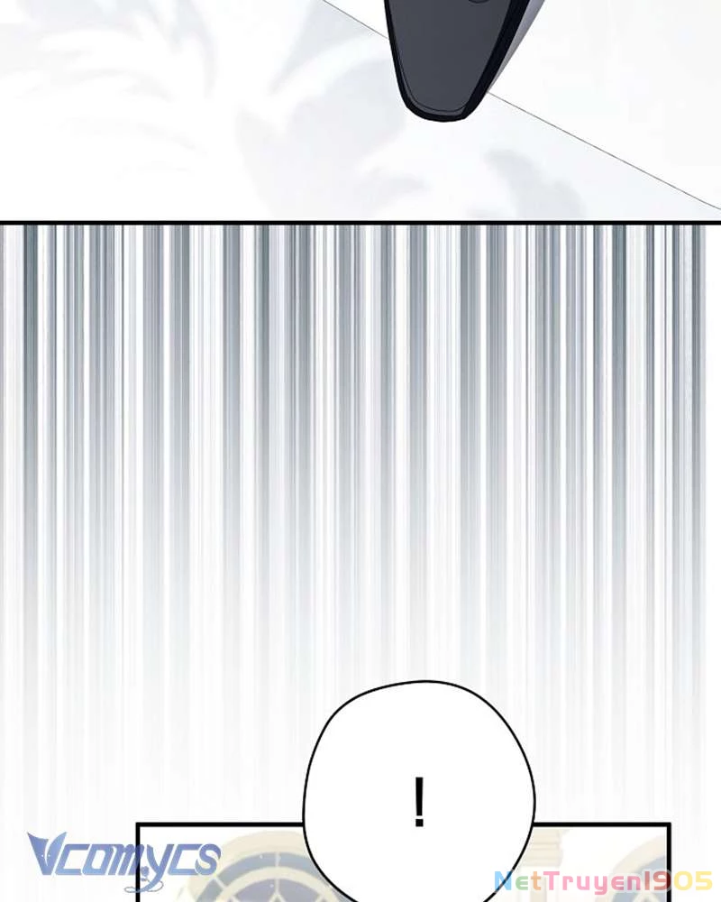 Các Nam Chính Đã Bị Nữ Phụ Cướp Mất Chapter 50 - Trang 2