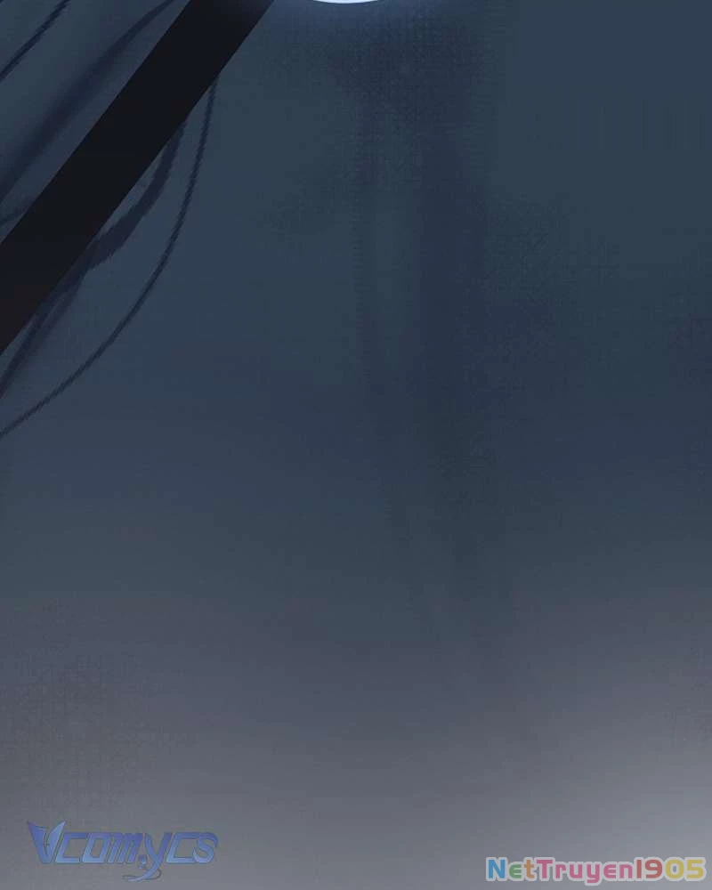 Các Nam Chính Đã Bị Nữ Phụ Cướp Mất Chapter 50 - Trang 2