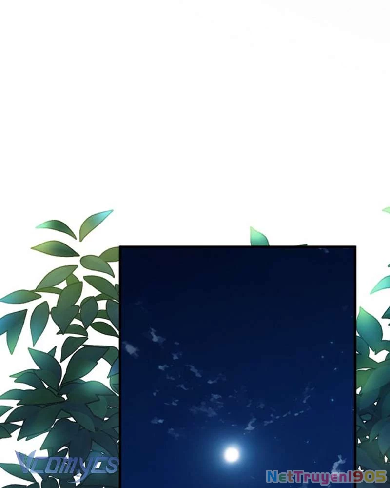 Các Nam Chính Đã Bị Nữ Phụ Cướp Mất Chapter 50 - Trang 2