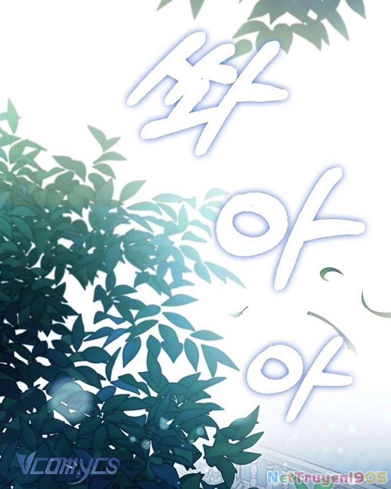 Các Nam Chính Đã Bị Nữ Phụ Cướp Mất Chapter 50 - Trang 2