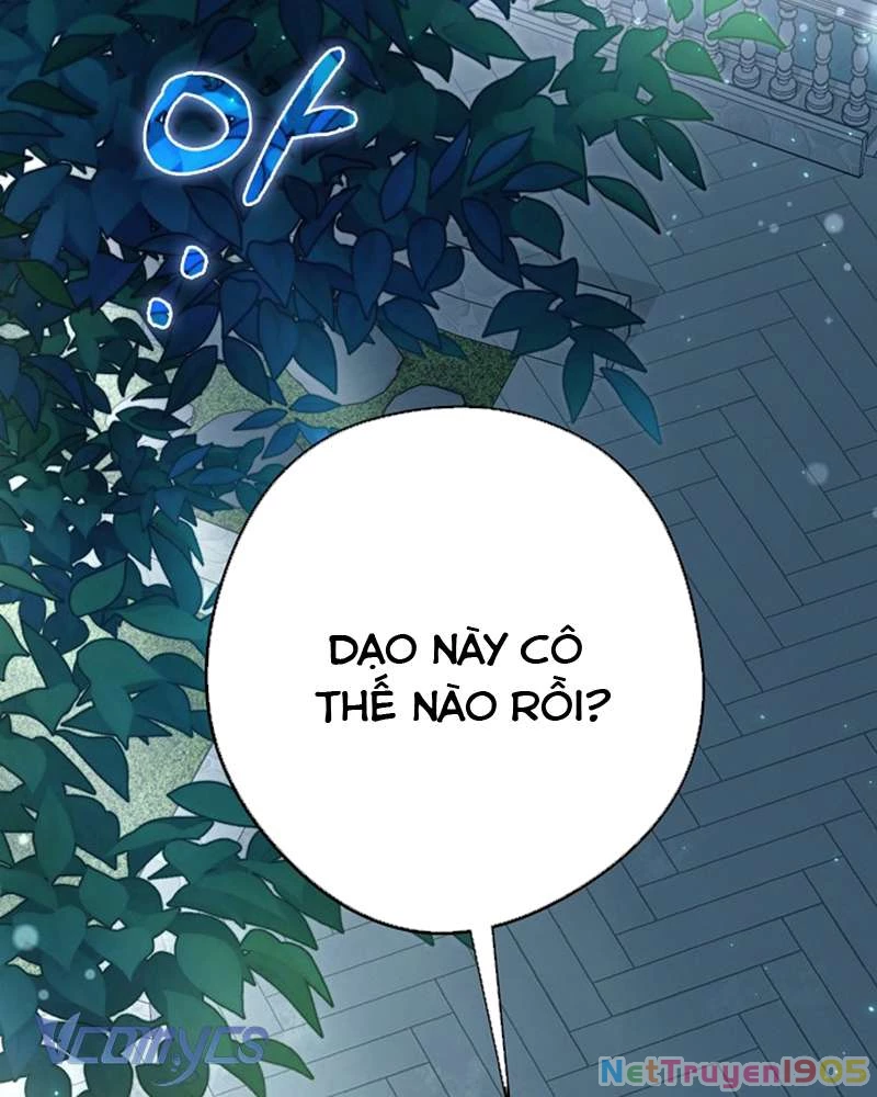 Các Nam Chính Đã Bị Nữ Phụ Cướp Mất Chapter 50 - Trang 2