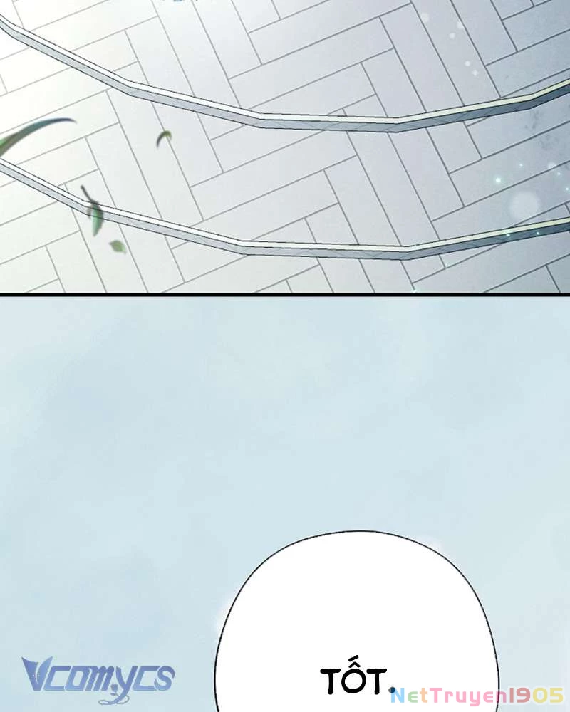 Các Nam Chính Đã Bị Nữ Phụ Cướp Mất Chapter 50 - Trang 2