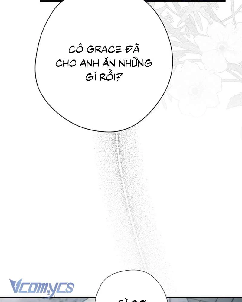 Các Nam Chính Đã Bị Nữ Phụ Cướp Mất Chapter 51 - Trang 2