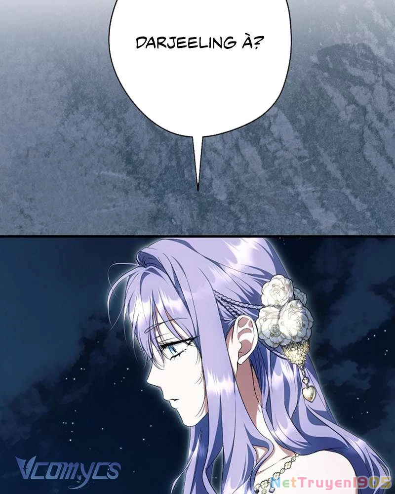 Các Nam Chính Đã Bị Nữ Phụ Cướp Mất Chapter 51 - Trang 2