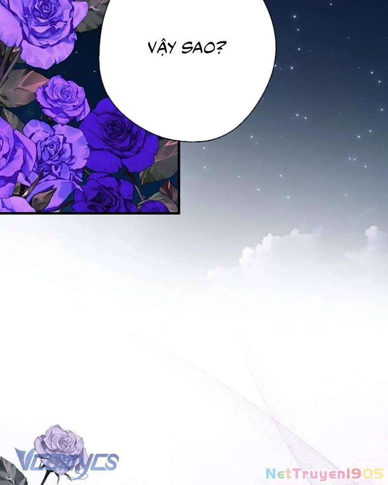 Các Nam Chính Đã Bị Nữ Phụ Cướp Mất Chapter 51 - Trang 2