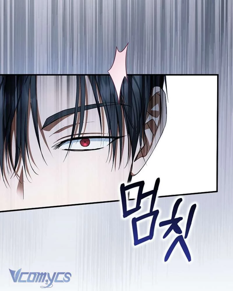 Các Nam Chính Đã Bị Nữ Phụ Cướp Mất Chapter 51 - Trang 2