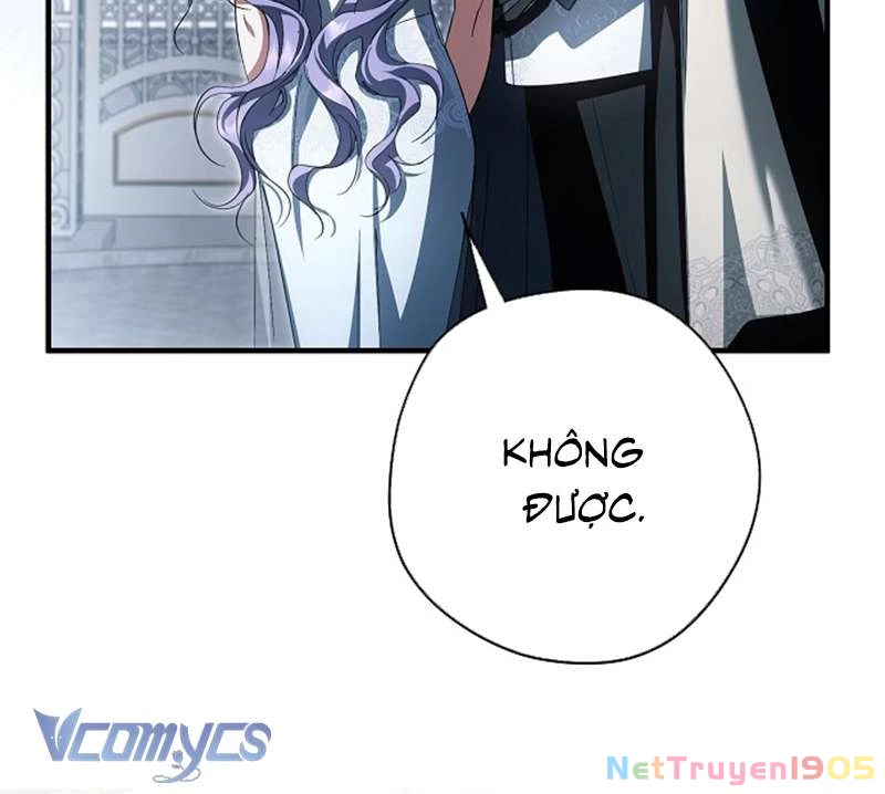 Các Nam Chính Đã Bị Nữ Phụ Cướp Mất Chapter 51 - Trang 2