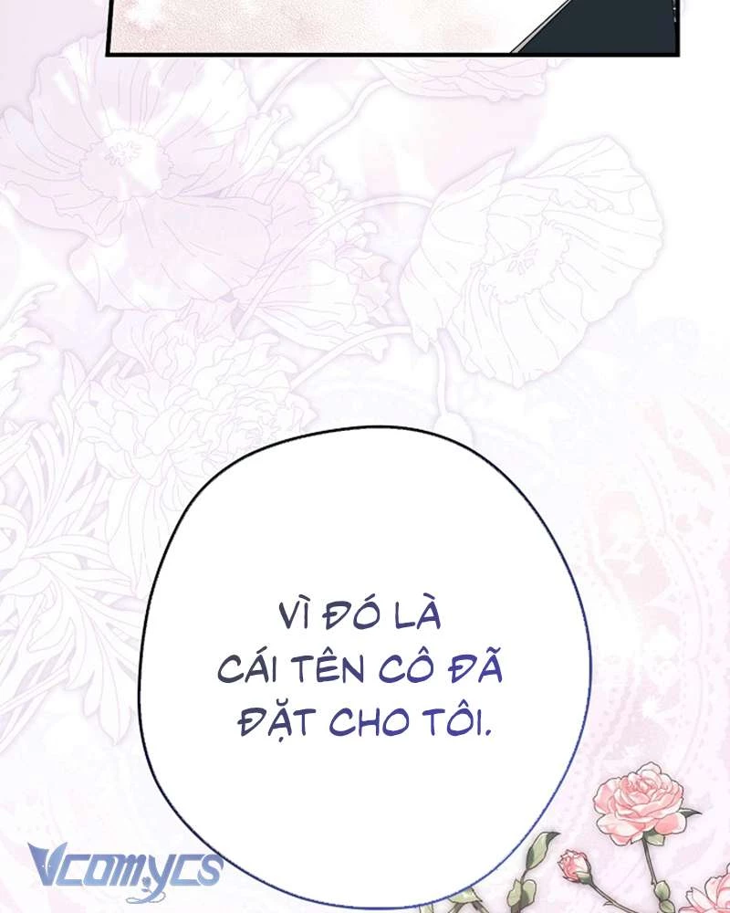 Các Nam Chính Đã Bị Nữ Phụ Cướp Mất Chapter 51 - Trang 2