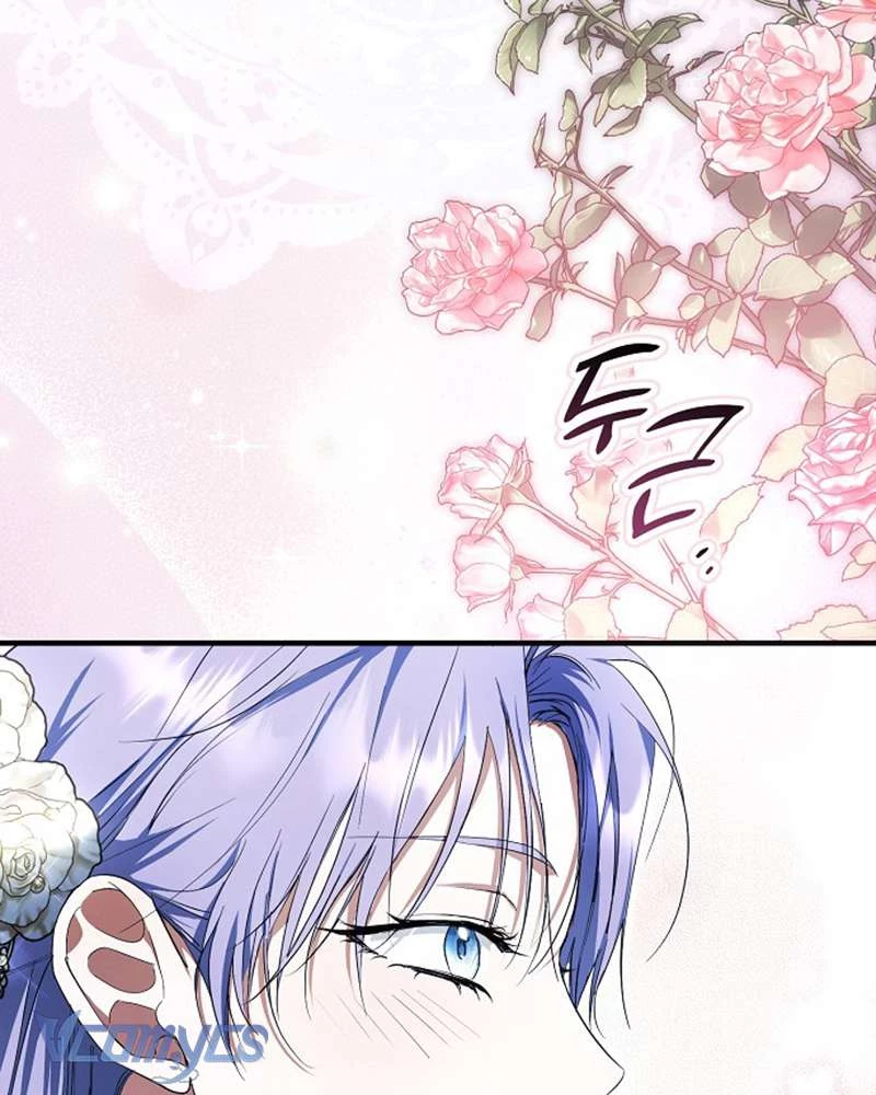 Các Nam Chính Đã Bị Nữ Phụ Cướp Mất Chapter 51 - Trang 2