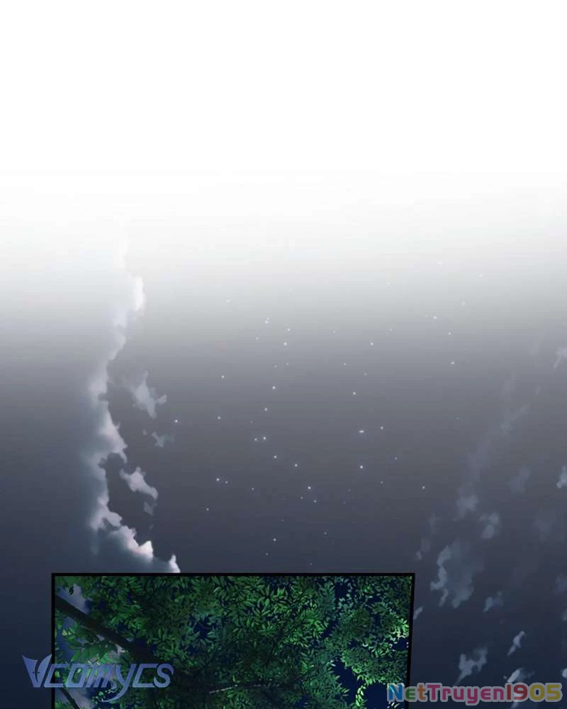 Các Nam Chính Đã Bị Nữ Phụ Cướp Mất Chapter 51 - Trang 2