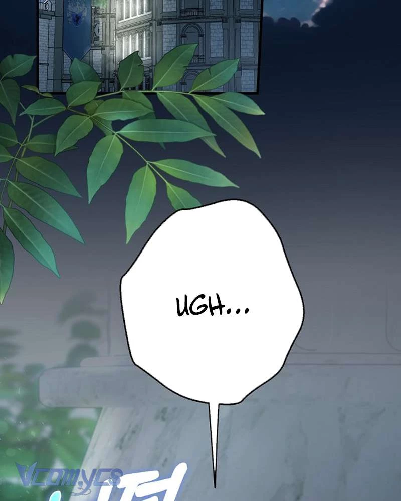 Các Nam Chính Đã Bị Nữ Phụ Cướp Mất Chapter 51 - Trang 2